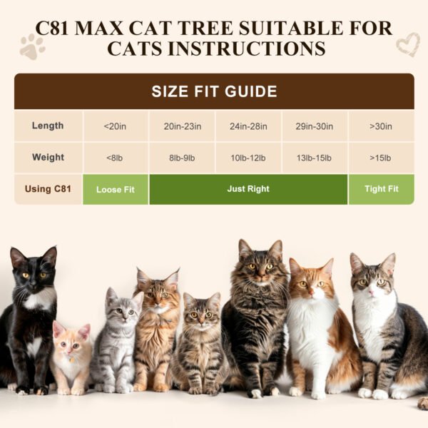81 Inch Cat Climbing Rack - Image 3