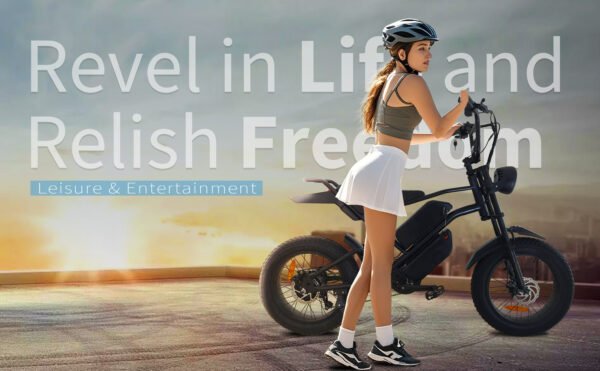 Ebike,1000W Motor,48V30Ah Battery,20 Inches,Maximum Speed 40-50KM - Image 6