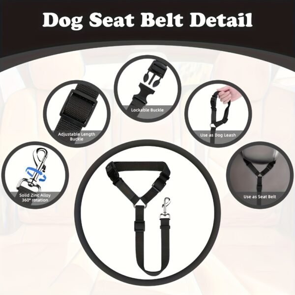 The Two - Piece Dog Leash Set Is Made Of Wear - Resistant And Skin - Friendly Materials. With Excellent Quality, It Meets Various Travel Needs Of Dogs. - Image 4