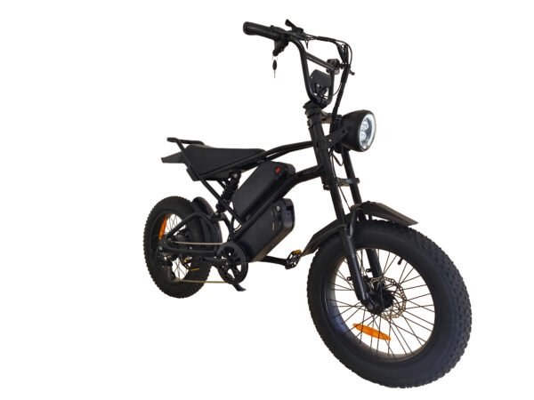 Ebike,1000W Motor,48V30Ah Battery,20 Inches,Maximum Speed 40-50KM - Image 3