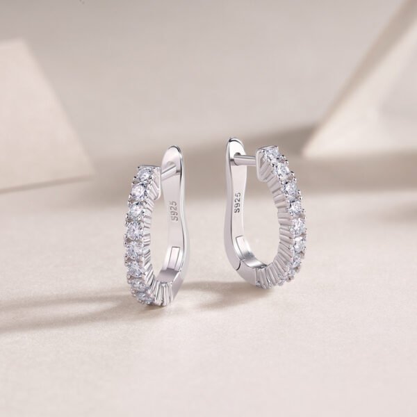 Modern Guide Luxury Fashion Diamond Earrings Stud Set With Mosan Diamond Silver Ornaments - Image 4